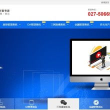 湖北楚泰軟件信息公司 專業(yè)軟件開發(fā)解決方案，助力企業(yè)數(shù)字化轉(zhuǎn)型